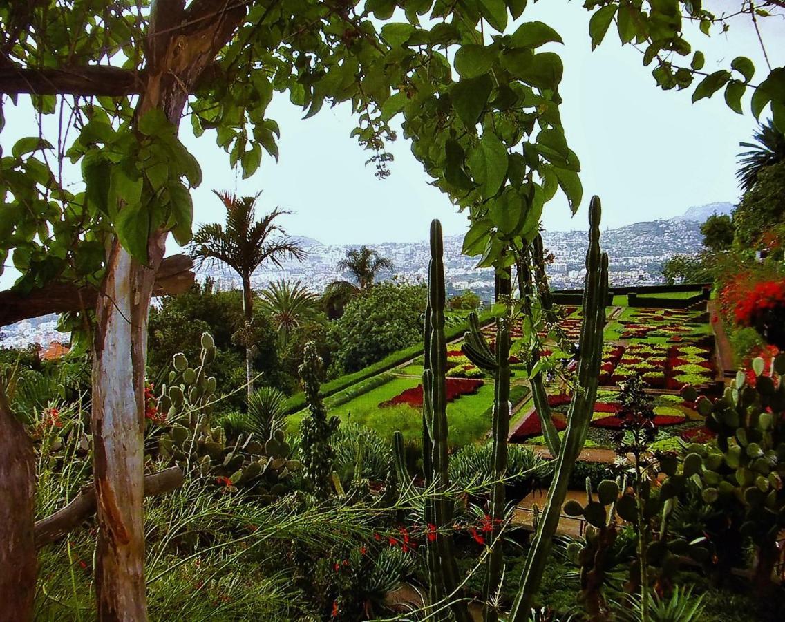 Apartment - The Historical Center Of Funchal In Alojamento Local Buitenkant foto
