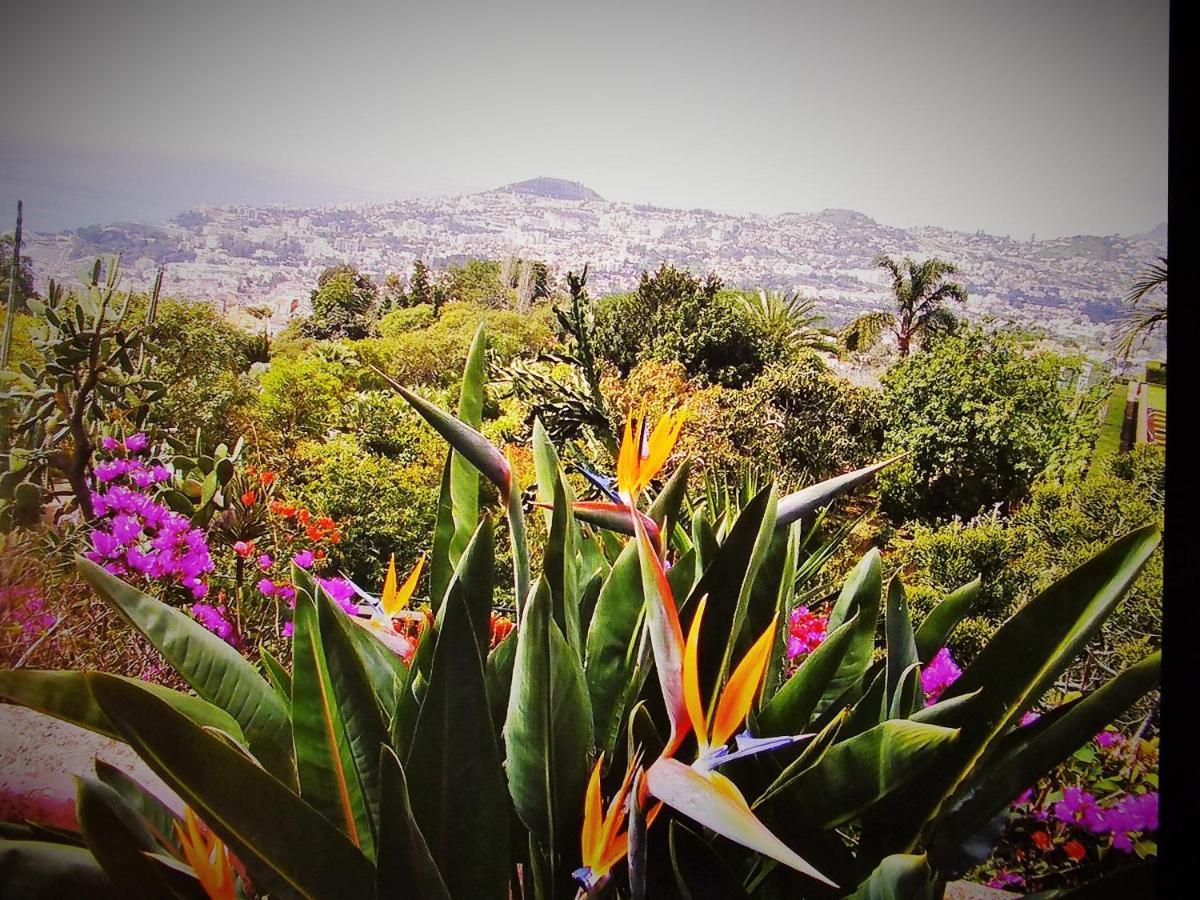 Apartment - The Historical Center Of Funchal In Alojamento Local Buitenkant foto