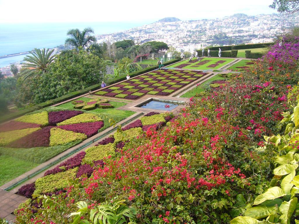 Apartment - The Historical Center Of Funchal In Alojamento Local Buitenkant foto