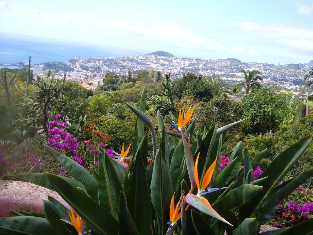 Apartment - The Historical Center Of Funchal In Alojamento Local Buitenkant foto