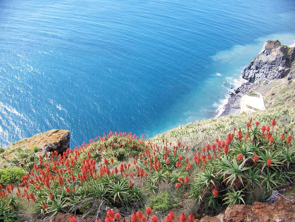 Apartment - The Historical Center Of Funchal In Alojamento Local Buitenkant foto