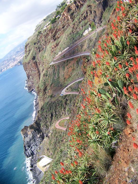 Apartment - The Historical Center Of Funchal In Alojamento Local Buitenkant foto