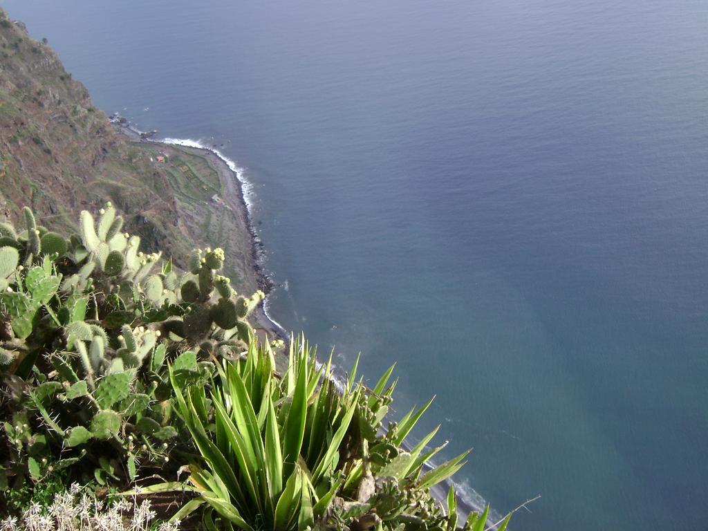 Apartment - The Historical Center Of Funchal In Alojamento Local Buitenkant foto